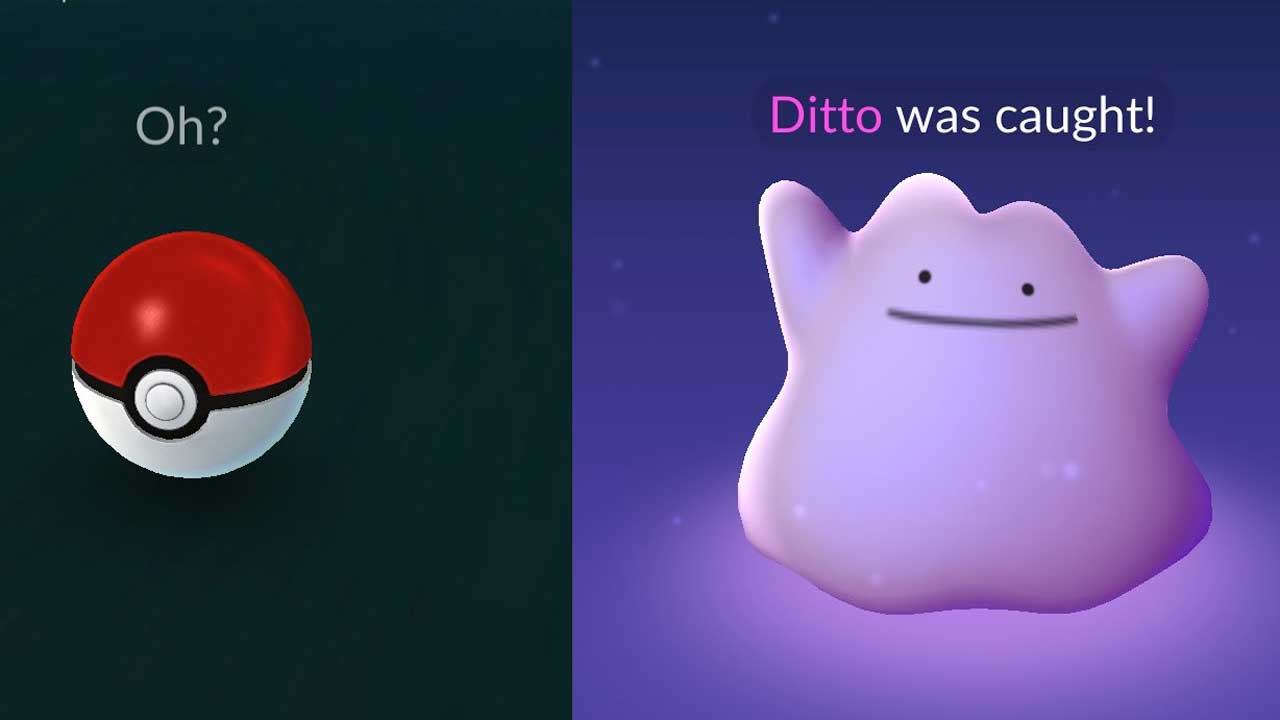 Pokemon Go Ditto disguises list 2021 how to catch a Ditto